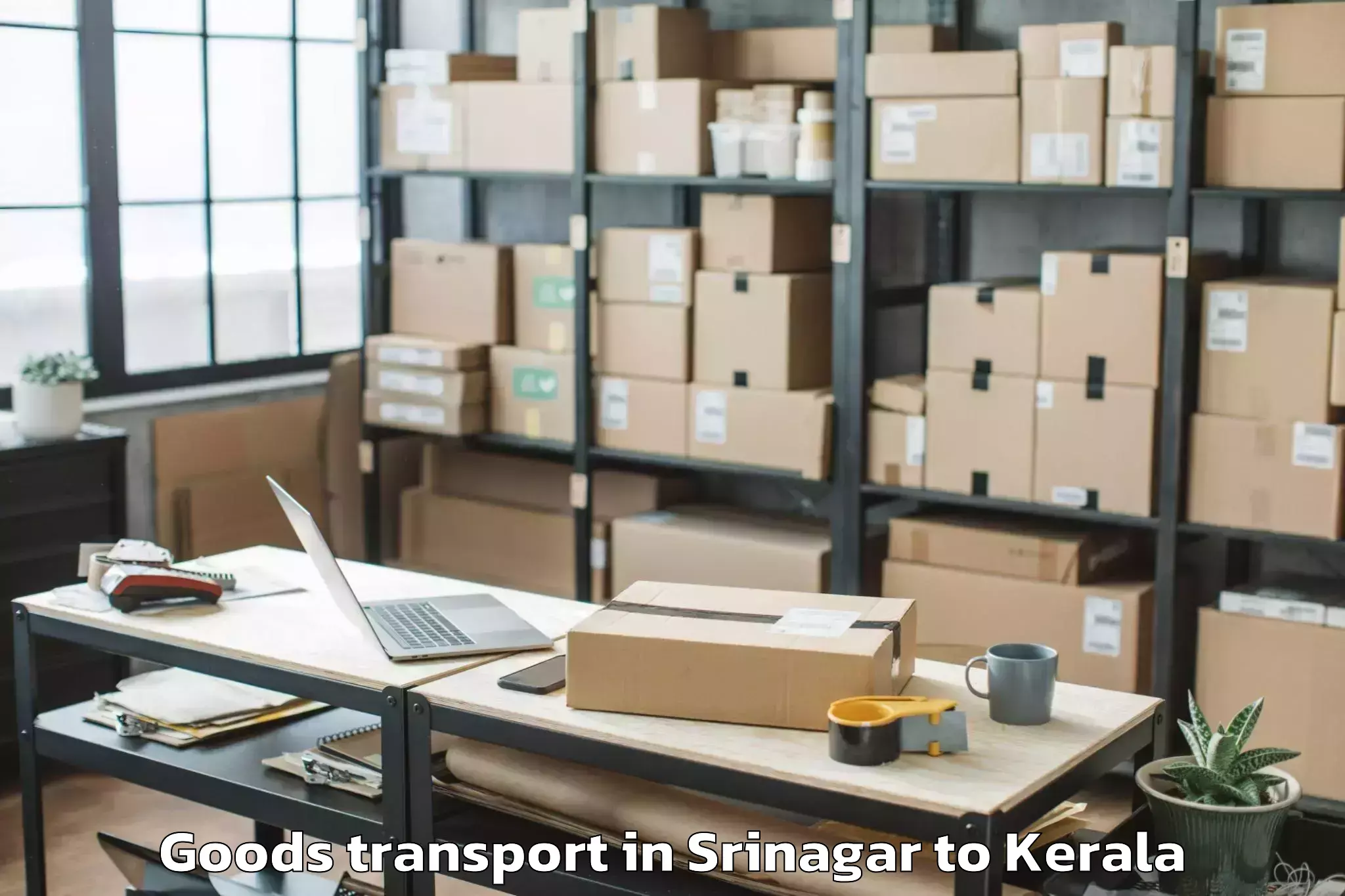 Leading Srinagar to Azhikode Goods Transport Provider